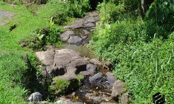 Imagem 4: DOIS IRMÃOS - RURAL - Travessão