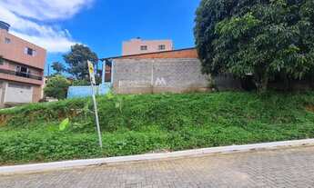 Imagem 3: Vende Se Terreno Vargem Grande/colônia