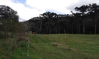 Imagem 4: Fazenda/Sítio/Chácara -Casca -RS