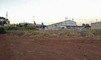 Imagem 4: QUATRO BARRAS - Terreno Padrão - quatro barras