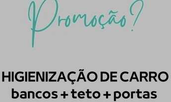 Imagem 2: Higienização e limpeza de estofados