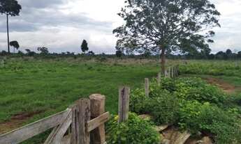 Imagem 6: Fazenda 328 alqueires Região de Ariquemes