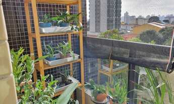 Imagem 7: SãO BERNARDO DO CAMPO - Apartamento Padrão - Anchieta