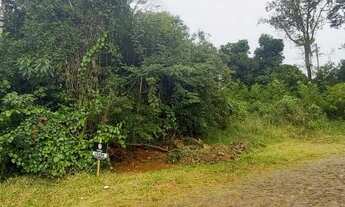 Imagem 2: DOIS IRMÃOS - Terreno Padrão - Moinho Velho