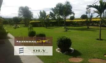 Imagem 3: Chácara de luxo região Bela Vista, 1 alqueire, Ótimo investimento !