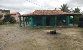 Imagem: Chácara a venda em são Caitano - PE