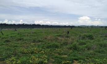 Imagem 4: Fazenda 328 alqueires Região de Ariquemes