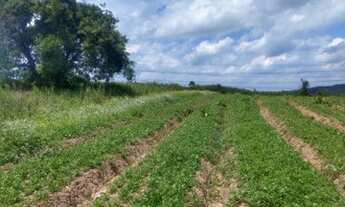 Imagem 3: Ag7- lotes de 500m2 / 15 mil de entrada