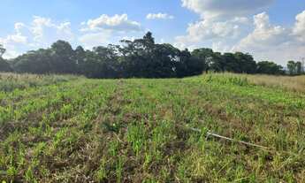 Imagem 3: Terreno com vista incrivel para a natureza