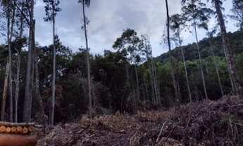 Imagem 3: Área à venda, 20978 m² por R$ 250.000,00 - Vila Olinda - Nova Petrópolis/RS