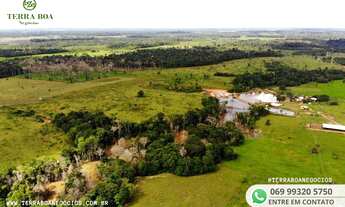Imagem 6: FAZENDA 250 ALQUEIRES 180 ALQUEIRES EM CAPIM - PORTO VELHO/RO