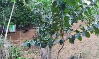 Imagem 7: Sitio em Chapoa Fundão 5mil metros