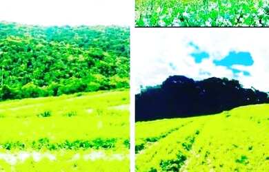 Imagem 16: Lote/Terreno para venda tem 500 metros quadrados em Morro Grande - Cotia - SP