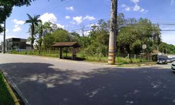 Imagem 3: Terreno no bairro Glória