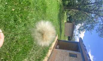 Imagem 1: R5- Terrenos á venda apenas 5 minutos do centro de Igarata