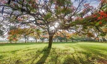 Imagem 5: Terreno - Residencial Haras Patente - Jaguariúna