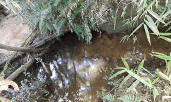 Imagem: Chácara á venda em Piraquara, no Roça