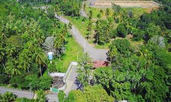 Imagem 2: CAMAÇARI - Loteamento/Condomínio - CATU DE ABRANTES (ABRANTES