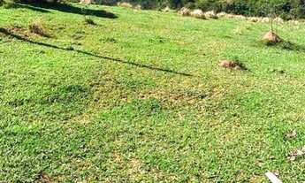 Imagem 7: Lote/Terreno para venda com 1000 metros quadrados em Jundiapeba - Mogi das Cruzes - SP