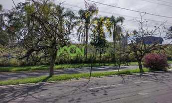 Imagem 2: Novo Hamburgo - Terreno Padrão - Operário