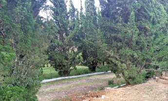 Imagem 3: LOTES BONS BARATOS EM IBIUNA