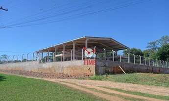 Imagem: Barracão para alugar, 550 m² por R$ 5.000/mês