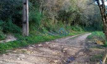 Imagem 1: Chácara em Kayser - Caxias do Sul