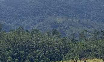 Imagem: Lote/Terreno para venda possui 1000 metros