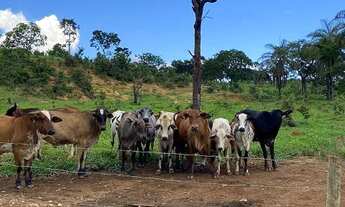 Imagem: Lançamento !! Fazendinha de 20.000m2 com