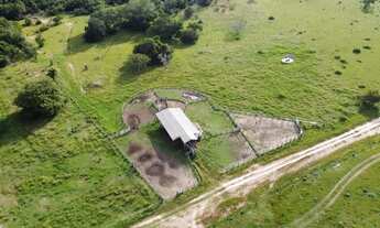 Imagem 6: Fazenda à venda na região do município de Gurupi - To