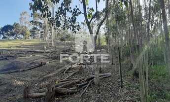 Imagem 5: Salesópolis - Terreno Padrão - Bairro dos Pintos