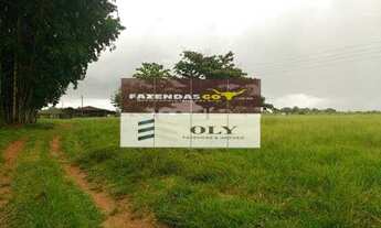 Imagem 6: OPORTUNIDADE ! FAZENDA 96 ALQUEIRES ! REGIÃO DE JARAGUÁ