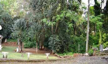 Imagem 2: Dois Irmãos - Terreno Padrão - Moinho Velho