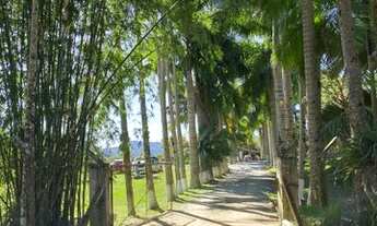 Imagem 3: Vendo terreno para sítio