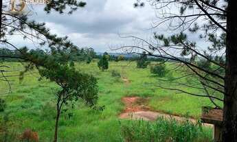 Imagem 5: CABREÚVA - Terreno Padrão - Jacaré