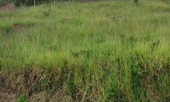 Imagem 6: SÃO JOSÉ DOS CAMPOS - Terreno Padrão - CHÁCARAS POUSADA DO VALE