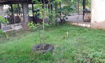 Imagem 3: Chácara TOP.. Chácara com venda por R$200.000