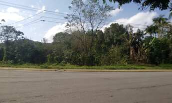 Imagem 2: JOINVILLE - Terreno Padrão - SAGUAÇÚ