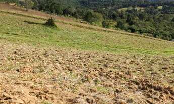 Imagem: Terreno para chácara na região de Ibiuna