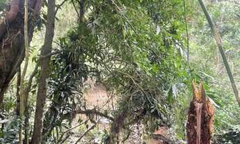 Imagem 6: Chácara a venda parcelo 60