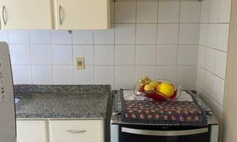 Imagem 3: SÃO JOSÉ DO RIO PRETO - Apartamento Padrão - BOM JARDIM