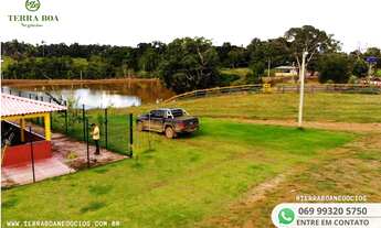 Imagem 3: FAZENDA 250 ALQUEIRES 180 ALQUEIRES EM CAPIM - PORTO VELHO/RO