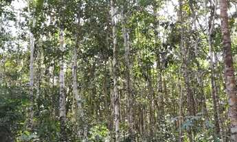 Imagem 6: Terrenos de 1000m a venda dentro de Vila em meio a natureza em Arraial d'Ajuda