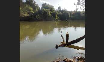 Imagem 6: FAZENDINHAS pertinho do Rio Pará