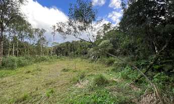 Imagem 7: TERRENO À VENDA EM SÃO JOSÉ DOS PINHAIS, PROXIMO AO PEDAGIO DA BR 277