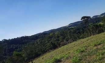 Imagem 2: Preciso vender rápido esses terrenos em área rural!