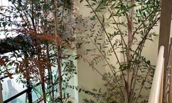 Imagem 4: SÃO JOSÉ DO RIO PRETO - Casa Padrão - PARQUE RESIDENCIAL DAMHA