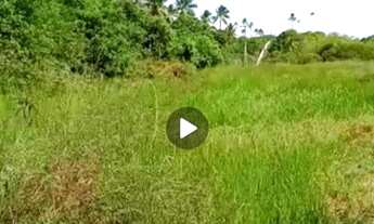 Imagem 7: Lote/Terreno para venda com 14000 metros quadrados em Centro - Mata de São João - BA