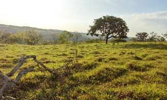 Imagem 3: FAZENDINHAS pertinho do Rio Pará