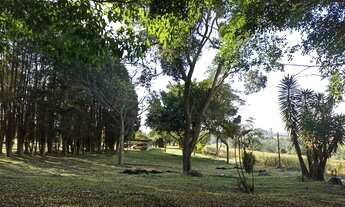 Imagem 5: Lote/Terreno para venda tem 500 metros quadrados em Verava - Ibiúna - SP